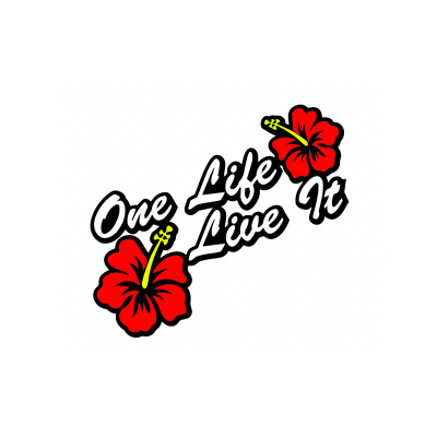 Sticker - One life live it